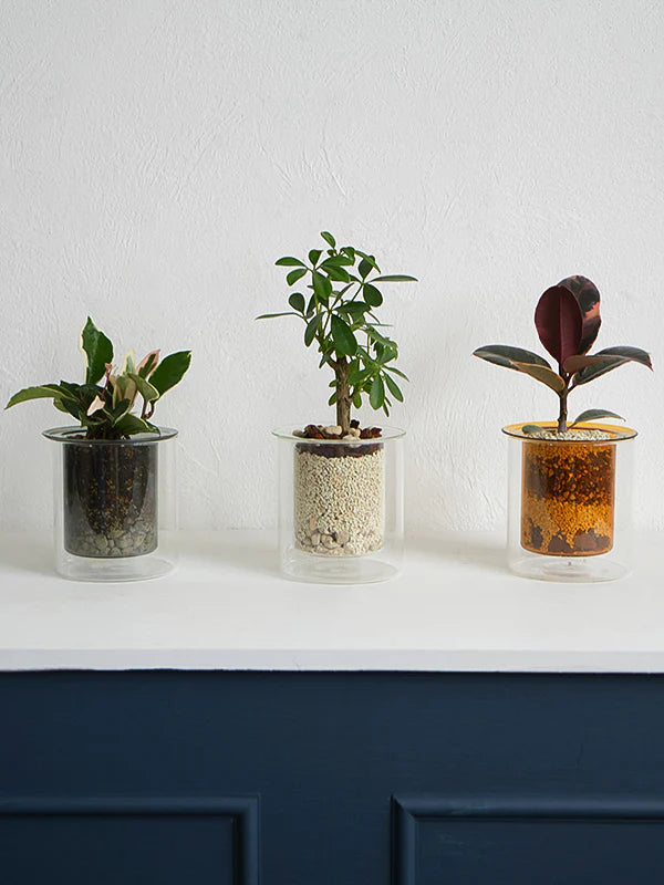 AXCIS,INC. | PINO Glass Planter