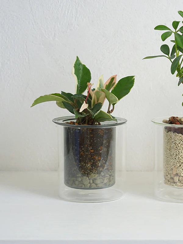 AXCIS,INC. | PINO Glass Planter