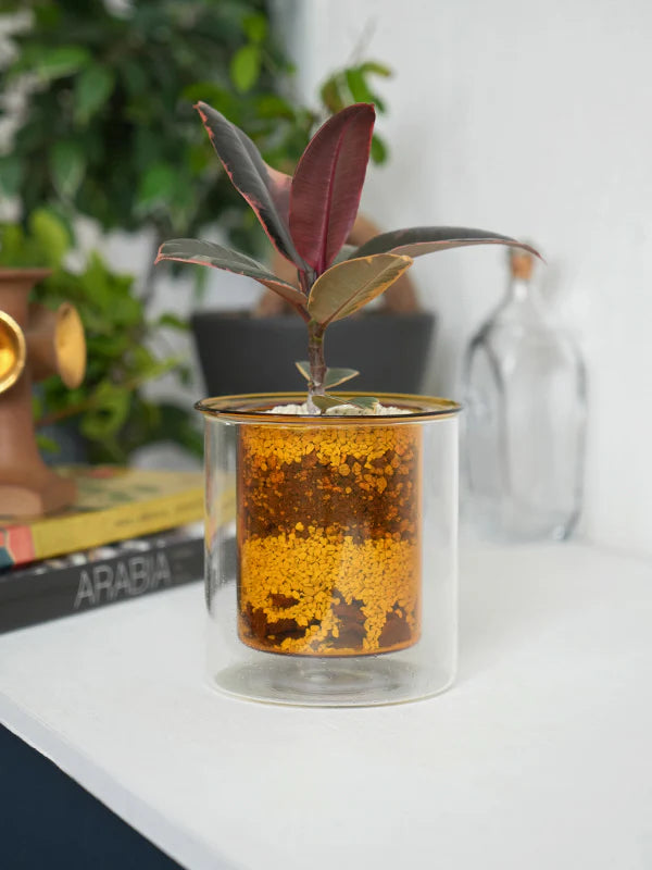 AXCIS,INC. | PINO Glass Planter