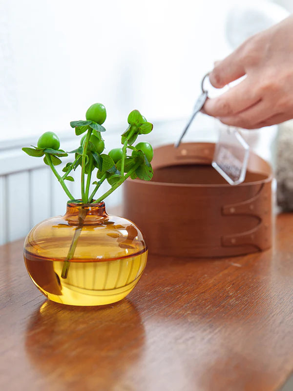 AXCIS,INC. | Glass Incense Vase - Lua